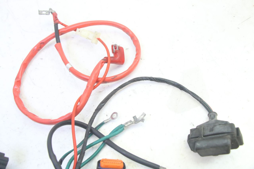 photo de WIRE HARNESS PEUGEOT TWEET PRO EFI 4T 50 (2021 - 2022)