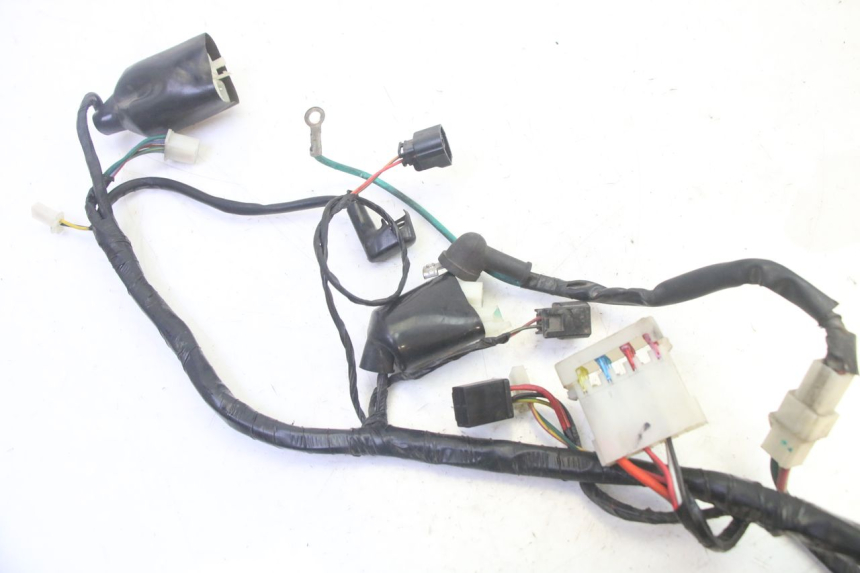 photo de WIRE HARNESS PEUGEOT TWEET PRO EFI 4T 50 (2021 - 2022)