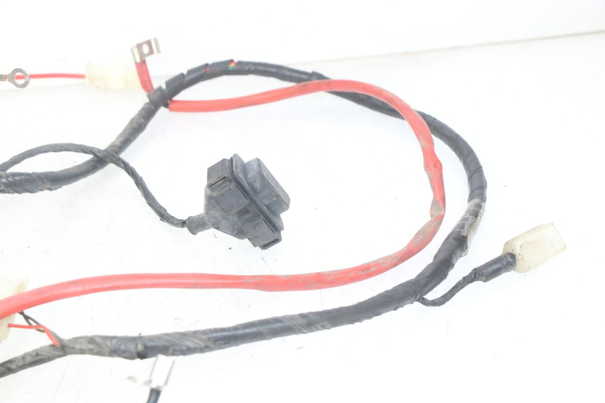 photo de WIRING HARNESS PEUGEOT TWEET 125 (2018 - 2021)