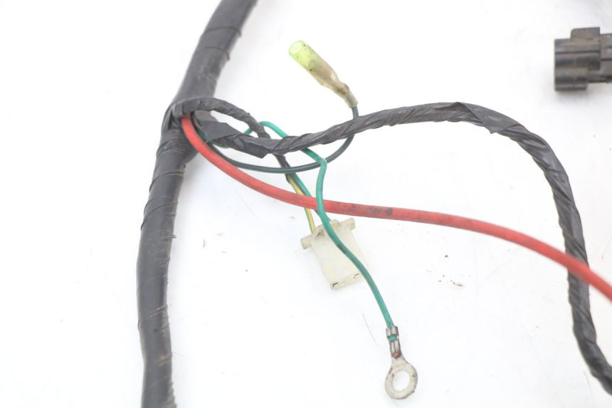 photo de WIRING HARNESS PEUGEOT TWEET 125 (2018 - 2021)
