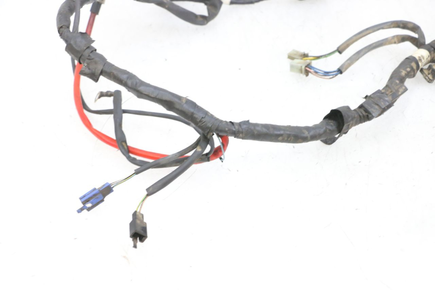 photo de WIRE HARNESS YAMAHA TZR 50 (2008 - 2016) - Alternative perspective