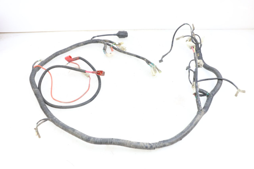 photo de WIRE HARNESS BEELINE VELOCE 4T 50 (2011 - 2020)