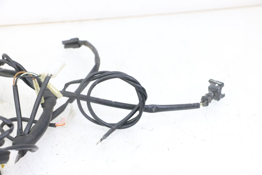 photo de WIRE HARNESS VENT DERAPAGE 50 (2018 - 2023)