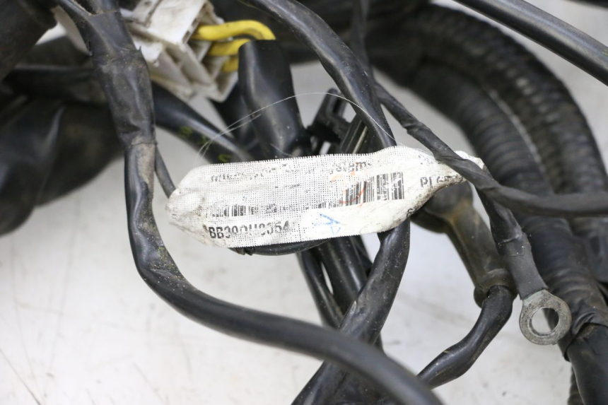photo de WIRE HARNESS PIAGGIO VESPA GTS SUPER IE 125 (2009 - 2016) - Component detail