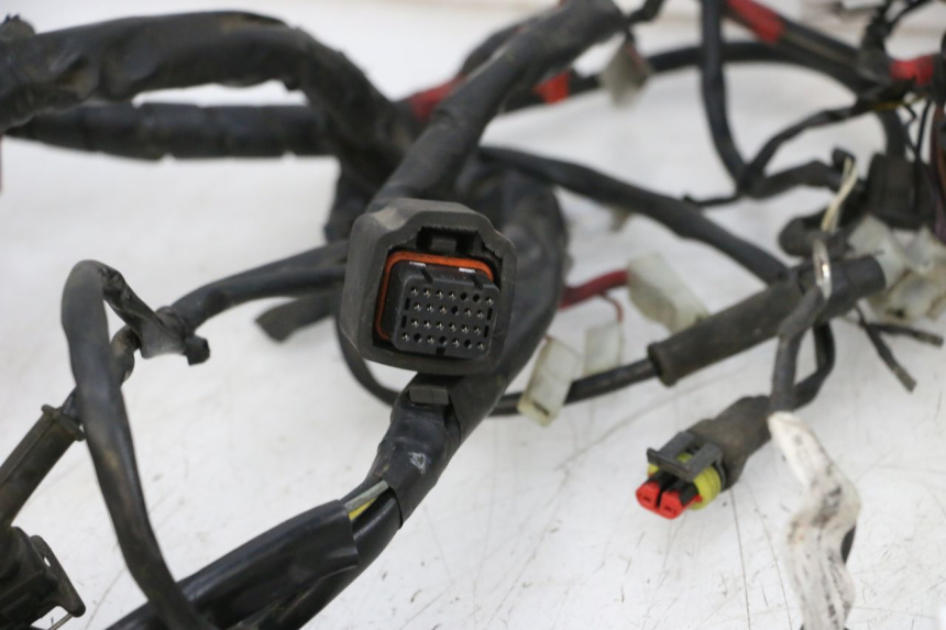 photo de WIRE HARNESS PIAGGIO VESPA GTS SUPER IE 125 (2009 - 2016) - Fixing points details