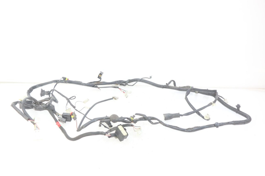 photo de WIRING HARNESS PIAGGIO VESPA PRIMAVERA 2T 50 (2013 - 2018)