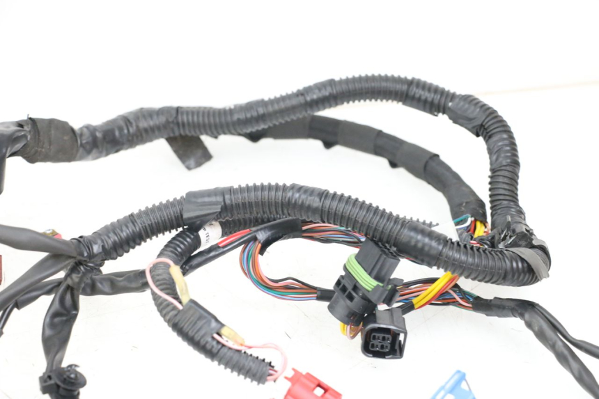 photo de WIRE HARNESS PIAGGIO VESPA PRIMAVERA 4T 50 (2021 - 2024)