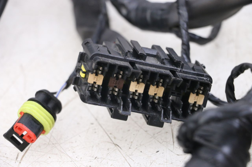 photo de WIRE HARNESS PIAGGIO VESPA PRIMAVERA 4T 50 (2021 - 2024)
