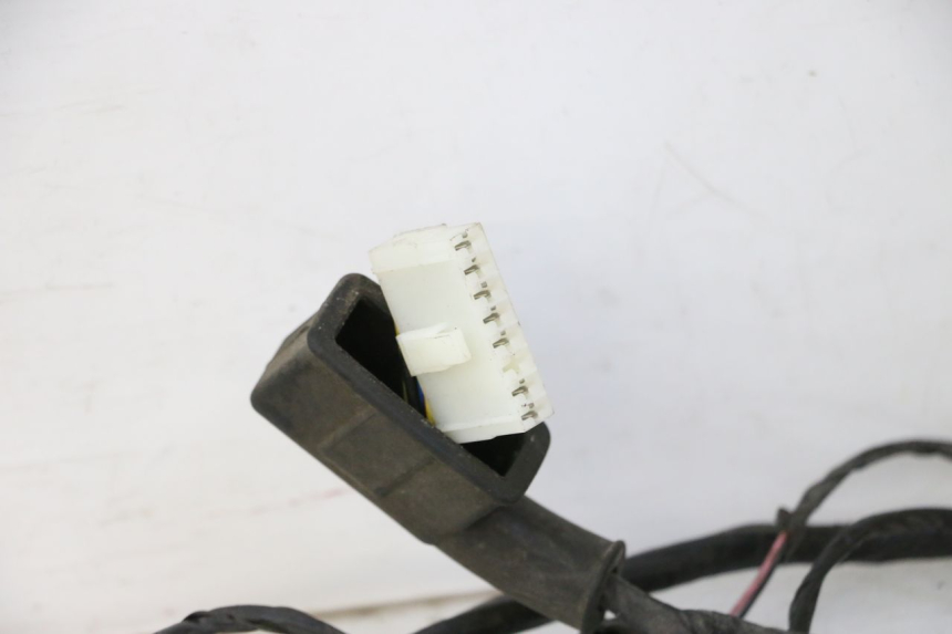 photo de WIRING HARNESS PIAGGIO VESPA S 2T 50 (2007 - 2014)