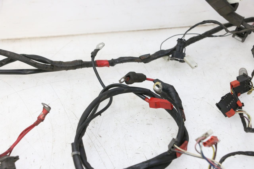 photo de WIRING HARNESS PIAGGIO VESPA S 2T 50 (2007 - 2014)