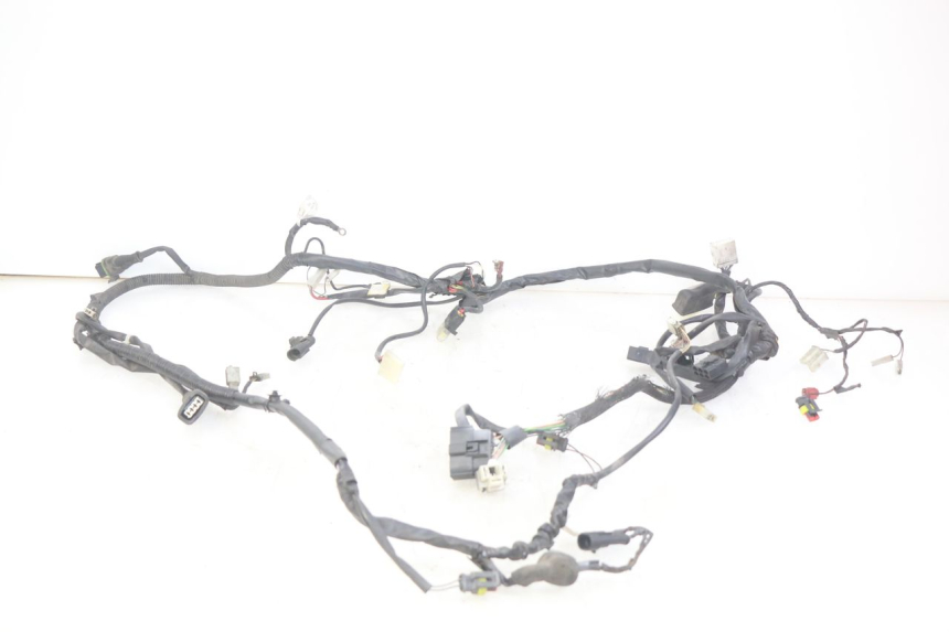photo de WIRING HARNESS PIAGGIO VESPA SPRINT 2T 50 (2014 - 2018)