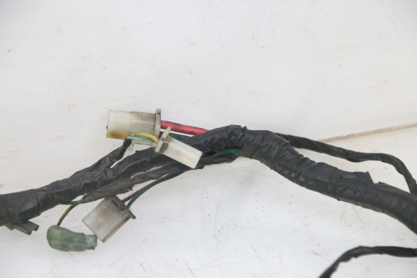 photo de WIRING HARNESS PEUGEOT VIVACITY NEW 2T 50 (2008 - 2017)