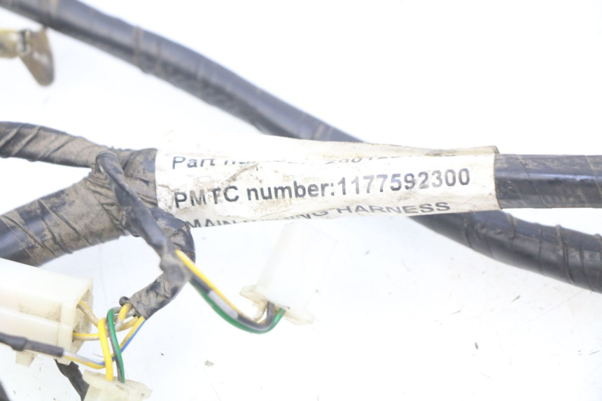 photo de WIRING HARNESS PEUGEOT VIVACITY NEW 4T 50 (2008 - 2017)