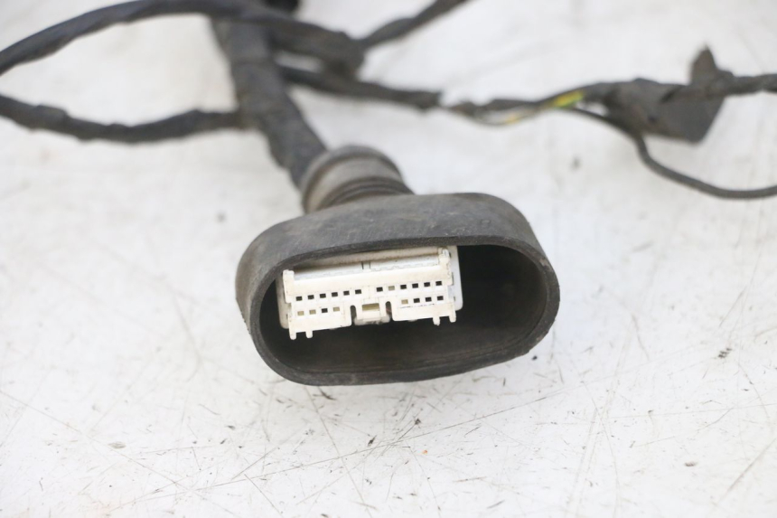 photo de WIRING HARNESS PEUGEOT VIVACITY NEW 4T 50 (2008 - 2017)
