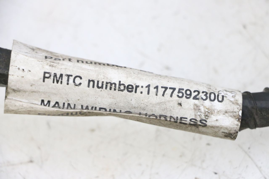 photo de WIRING HARNESS PEUGEOT VIVACITY NEW 4T 50 (2008 - 2017)