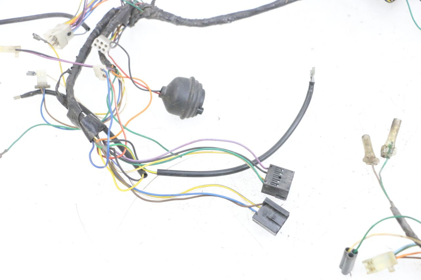 photo de WIRE HARNESS PEUGEOT VIVACITY 100 (1999 - 2008) - Detailed visual inspection