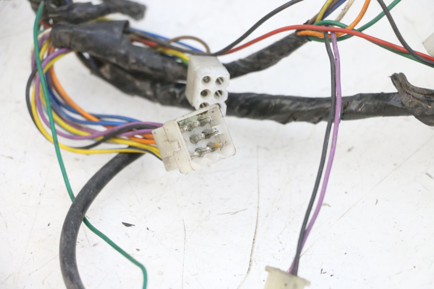 photo de WIRE HARNESS PEUGEOT VIVACITY 100 (1999 - 2008) - Fixing points details