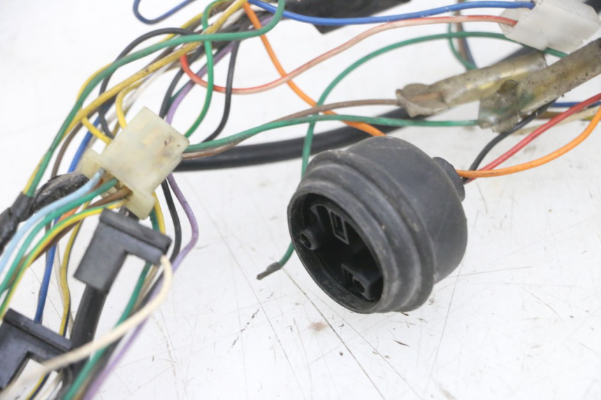 photo de WIRE HARNESS PEUGEOT VIVACITY 100 (1999 - 2008) - Markings and original references