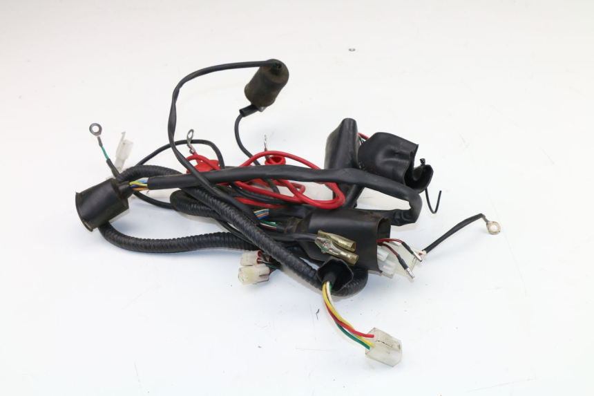 photo de WIRE HARNESS WACOX SHENKE 50 (2008 - 2014)