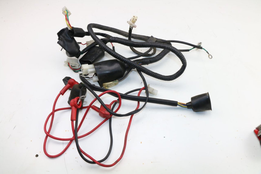 photo de WIRE HARNESS WACOX SHENKE 50 (2008 - 2014)