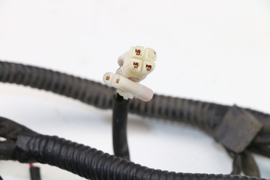 photo de WIRE HARNESS WACOX SHENKE 50 (2008 - 2014)