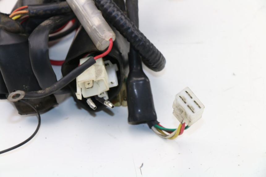 photo de WIRE HARNESS WACOX SHENKE 50 (2008 - 2014)