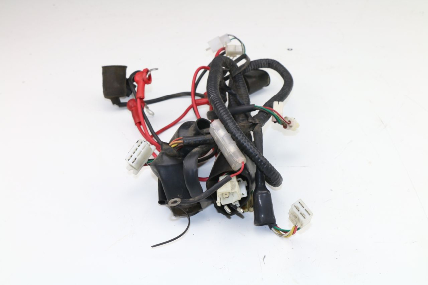 photo de WIRE HARNESS WACOX SHENKE 50 (2008 - 2014)