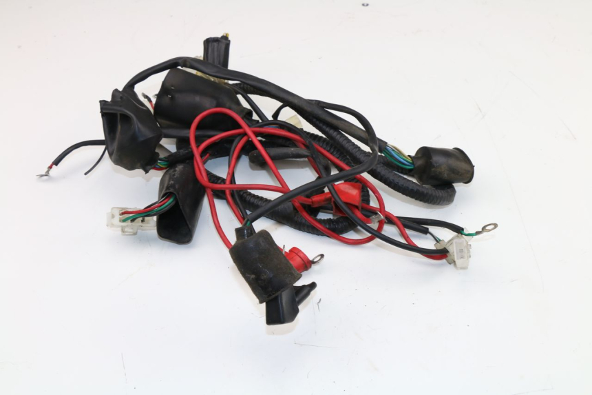 photo de WIRE HARNESS WACOX SHENKE 50 (2008 - 2014)