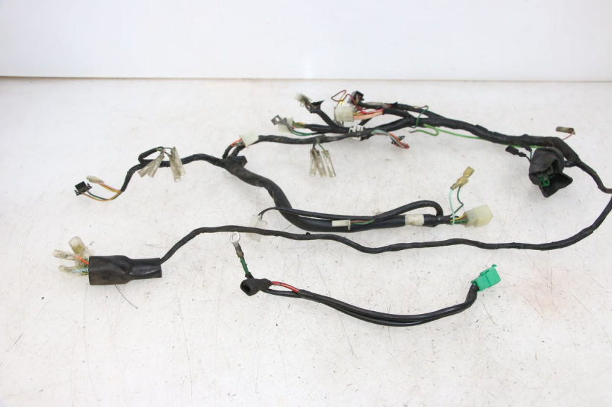 photo de WIRE HARNESS HONDA WALLAROO DX 50 (1993 - 1996)