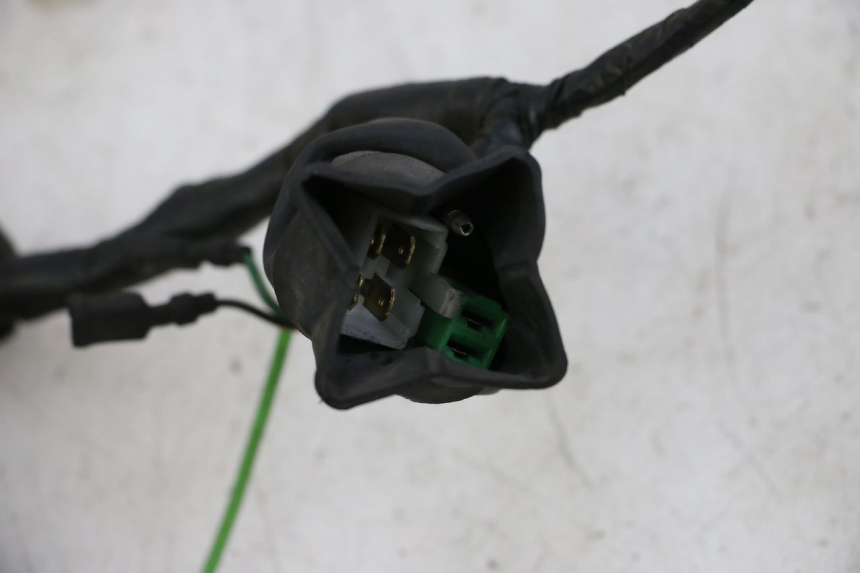 photo de WIRE HARNESS HONDA WALLAROO DX 50 (1993 - 1996)