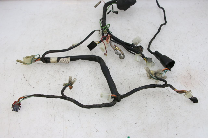 photo de WIRE HARNESS HONDA WALLAROO DX 50 (1993 - 1996)