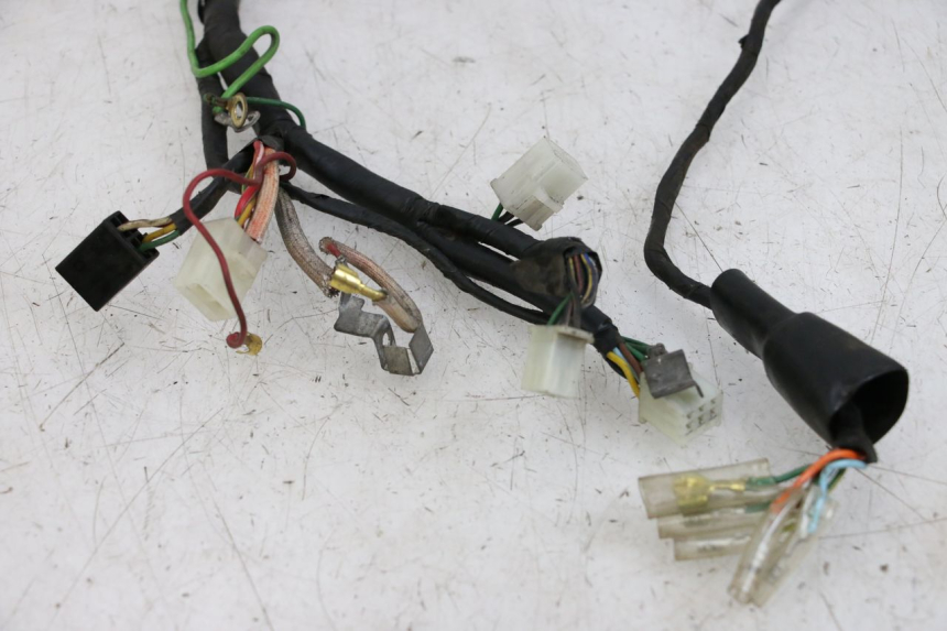 photo de WIRE HARNESS HONDA WALLAROO DX 50 (1993 - 1996)
