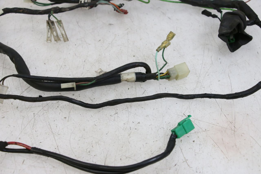 photo de WIRE HARNESS HONDA WALLAROO DX 50 (1993 - 1996)