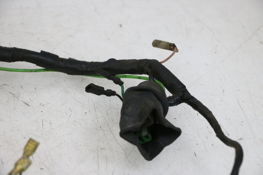 photo de WIRE HARNESS HONDA WALLAROO DX 50 (1993 - 1996)
