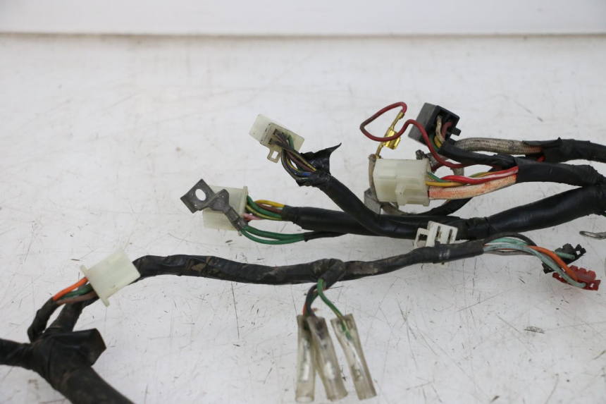 photo de WIRE HARNESS HONDA WALLAROO DX 50 (1993 - 1996)