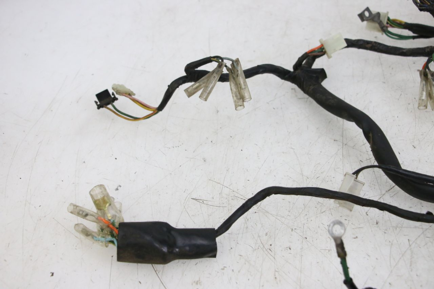 photo de WIRE HARNESS HONDA WALLAROO DX 50 (1993 - 1996)