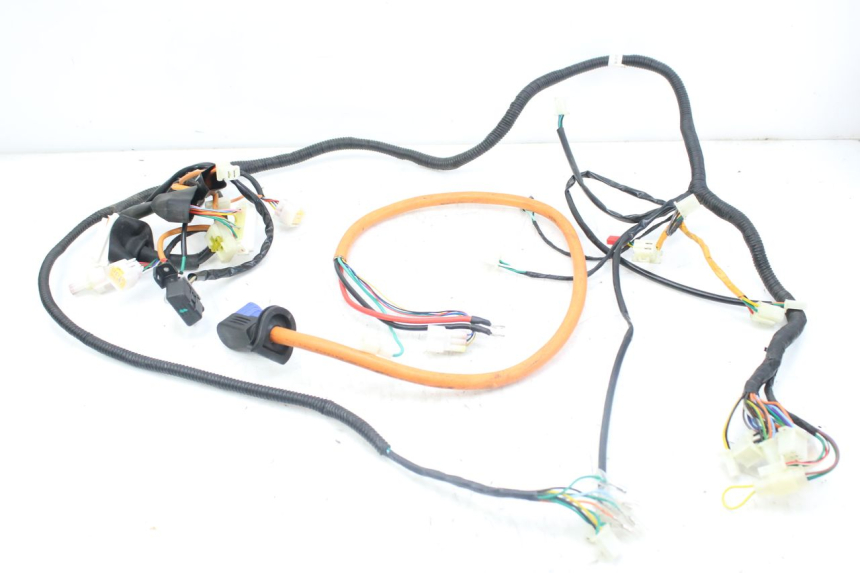 photo de WIRING HARNESS WAYSCRAL E-SPEED 1 (2022 - 2024)