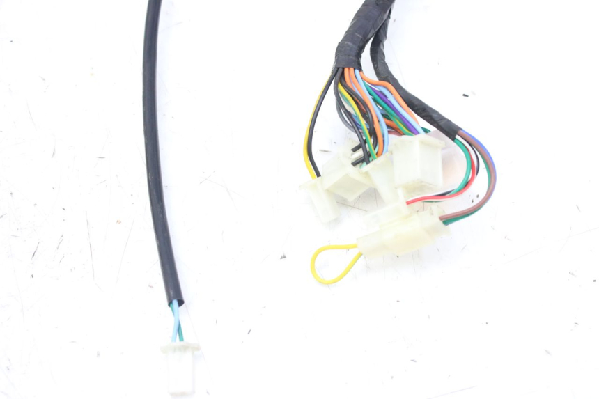 photo de WIRING HARNESS WAYSCRAL E-SPEED 1 (2022 - 2024)