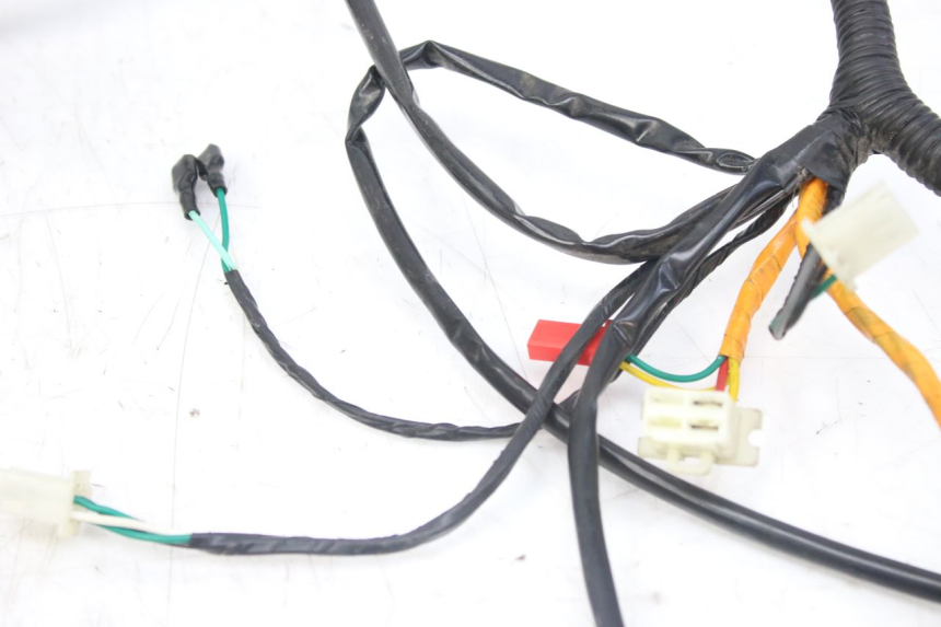 photo de WIRING HARNESS WAYSCRAL E-SPEED 1 (2022 - 2024)