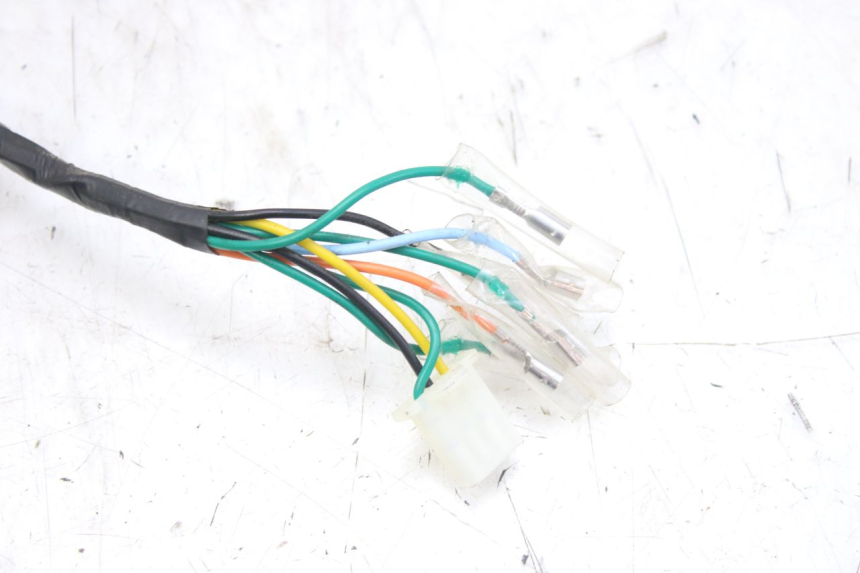 photo de WIRING HARNESS WAYSCRAL E-SPEED 1 (2022 - 2024)