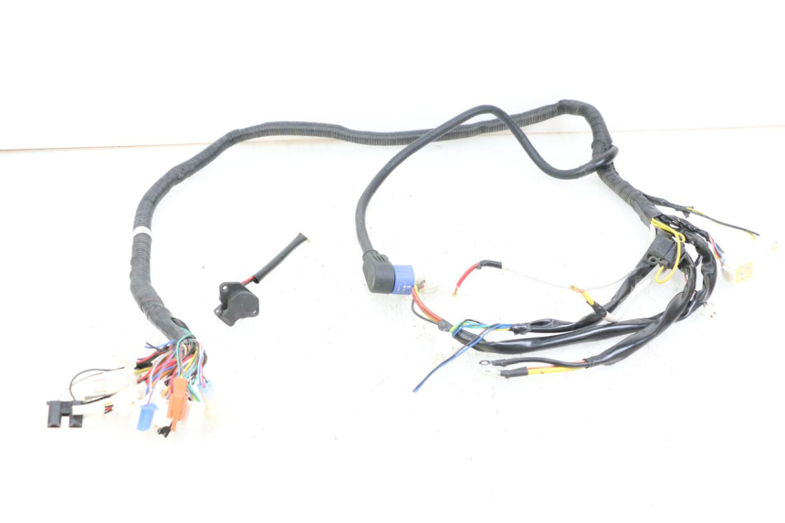 photo de WIRE HARNESS WAYSCRAL E-START 1 (2018 - 2022)