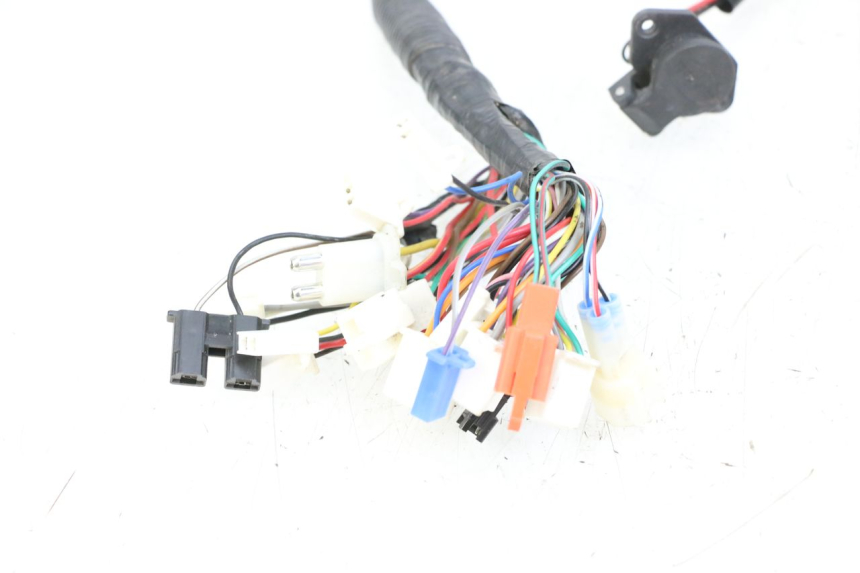 photo de WIRE HARNESS WAYSCRAL E-START 1 (2018 - 2022)