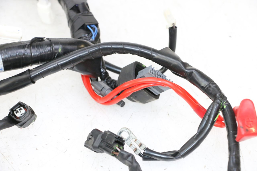 photo de WIRE HARNESS YAMAHA XMAX X-MAX 125 (2021 - 2025)