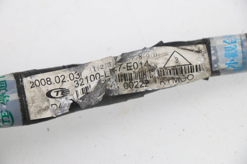 photo de WIRE HARNESS KYMCO XCITING 500 (2007 - 2010)