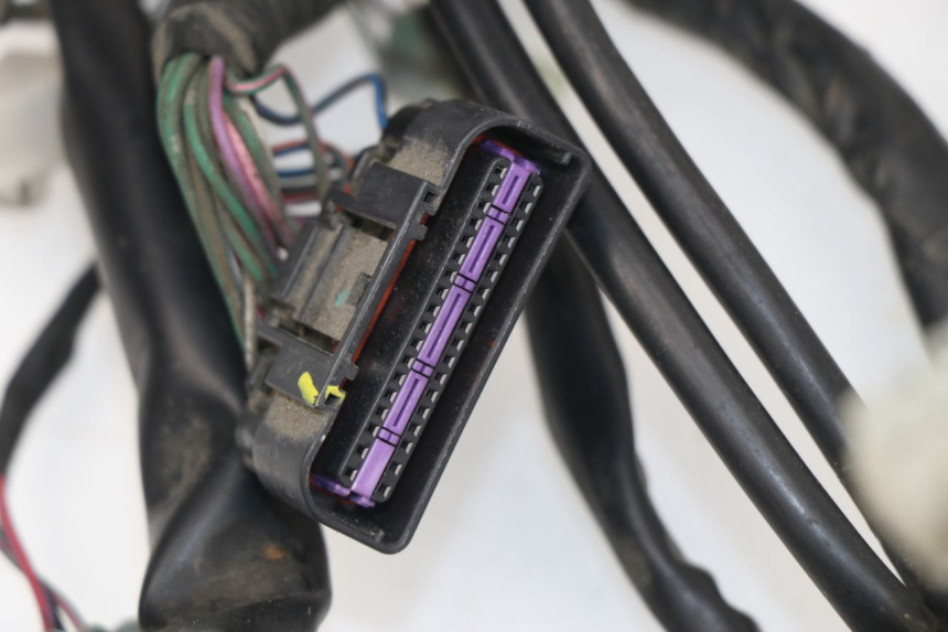 photo de WIRE HARNESS KYMCO XCITING 500 (2007 - 2010)