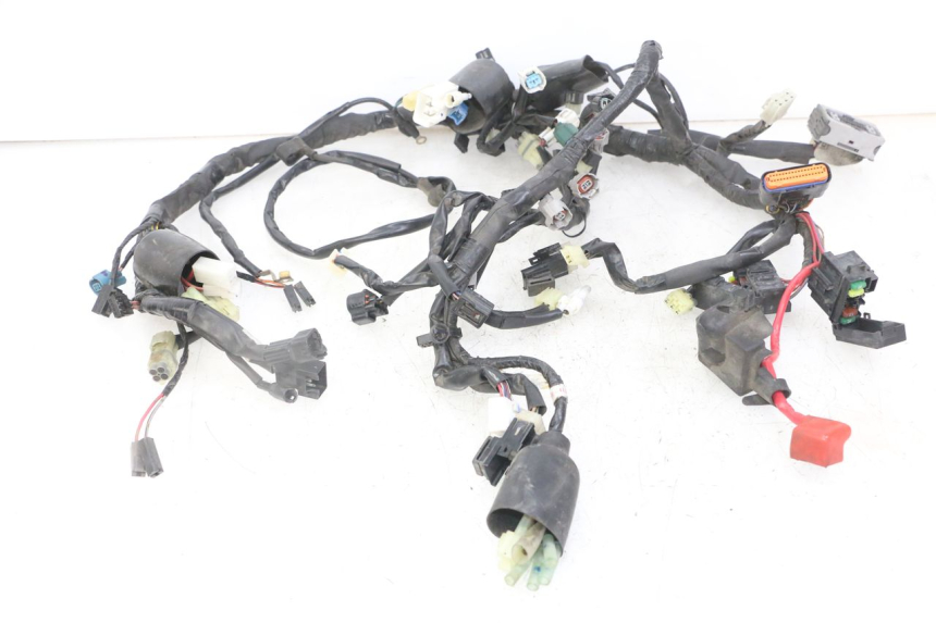 photo de WIRE HARNESS YAMAHA XJ6 ABS 600 (2008 - 2016)