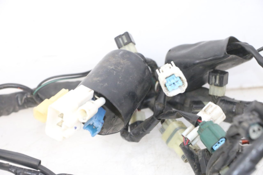 photo de WIRE HARNESS YAMAHA XJ6 ABS 600 (2008 - 2016)