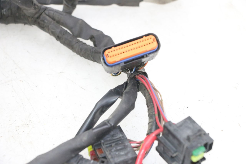 photo de WIRE HARNESS YAMAHA XJ6 ABS 600 (2008 - 2016)