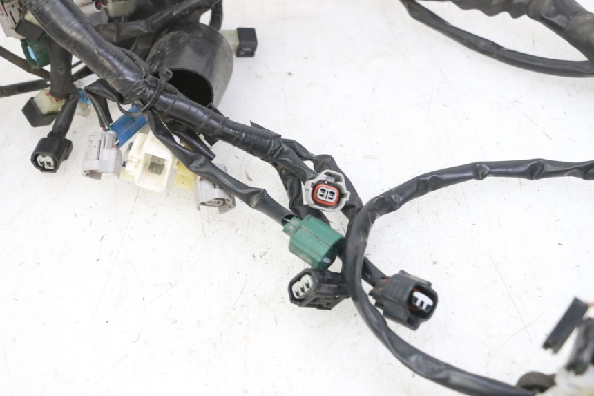 photo de WIRE HARNESS YAMAHA XJ6 ABS 600 (2008 - 2016)