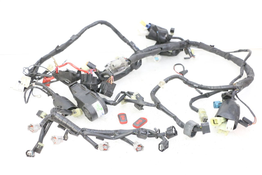 photo de WIRE HARNESS YAMAHA XJ6 ABS 600 (2008 - 2016)